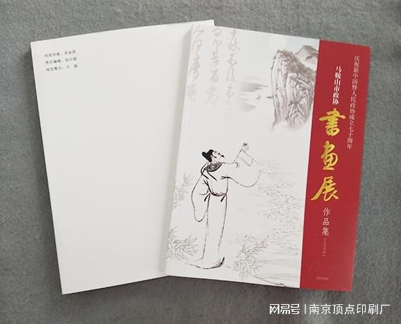 南京企业产品样本设计-南京宣传册制作(图3)