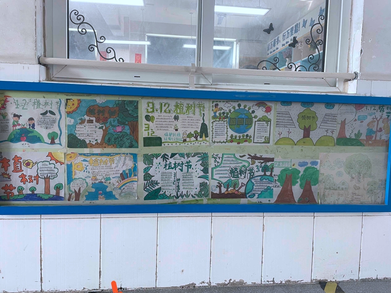 合肥市谢岗小学开展植树节系列活动(图3)